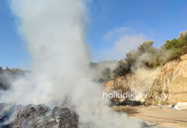 Πυρκαγιά σε δασική έκταση στη Χαλκιδική