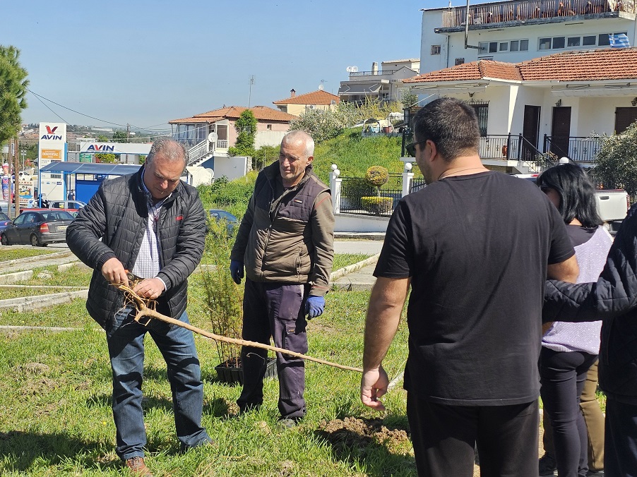 Επιτυχημένη δενδροφύτευση στη Νέα Καλλικράτεια Επιτυχημένη δενδροφύτευση στη Νέα Καλλικράτεια