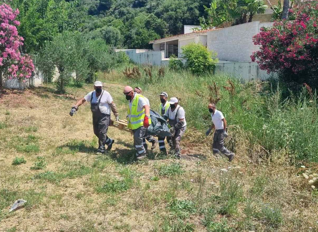 επιχείρηση περισυλλογής θαλάσσιας χελώνας