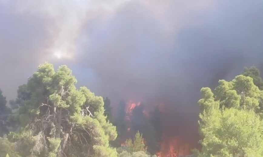 Καίγεται δάσος στη Σίβηρη